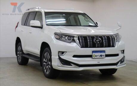 TOYOTA LAND CRUISER PRADO 2023/3